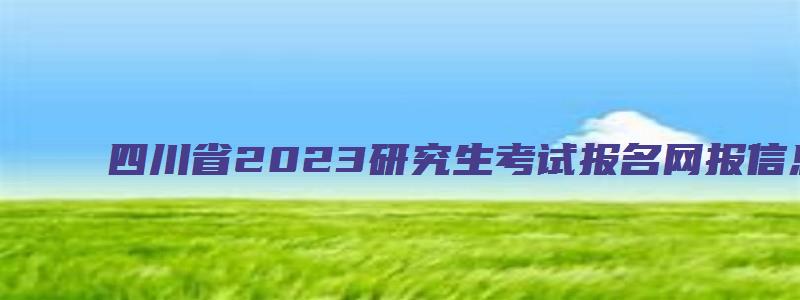 四川省2023研究生考试报名网报信息确认方式