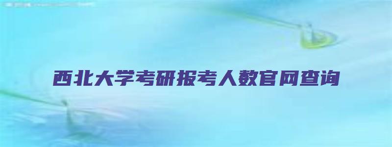 西北大学考研报考人数官网查询