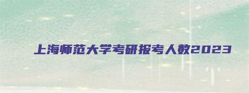 上海师范大学考研报考人数2023