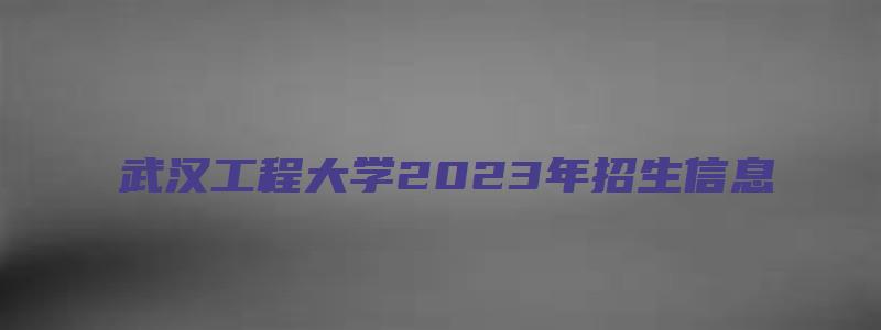 武汉工程大学2023年招生信息