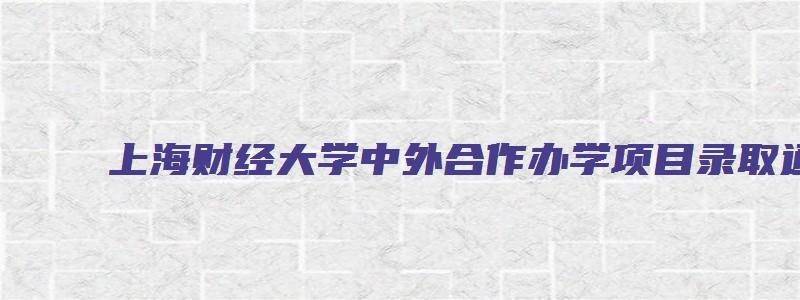 上海财经大学中外合作办学项目录取通知书图片