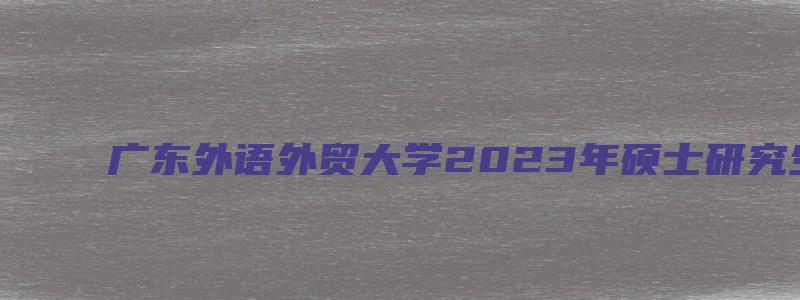 广东外语外贸大学2023年硕士研究生招生目录表