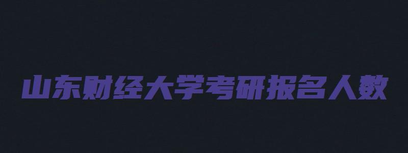 山东财经大学考研报名人数