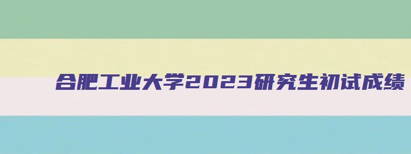 合肥工业大学2023研究生初试成绩