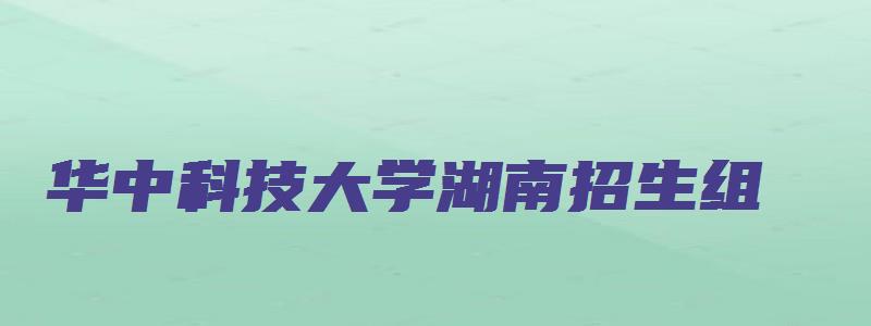 华中科技大学湖南招生组