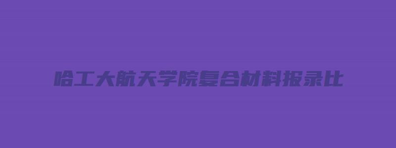 哈工大航天学院复合材料报录比