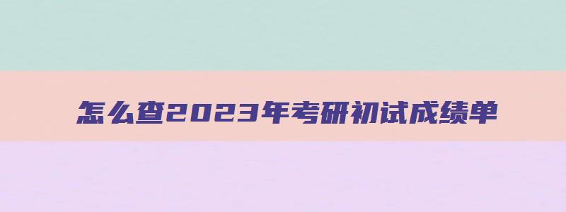 怎么查2023年考研初试成绩单