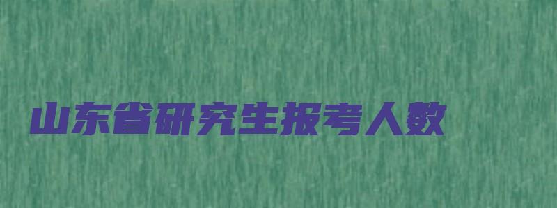 山东省研究生报考人数