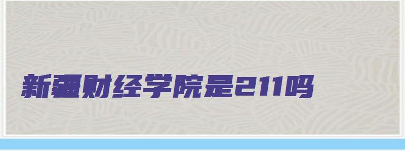 新疆财经学院是211吗