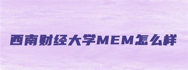 西南财经大学MEM怎么样