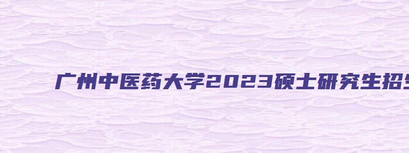 广州中医药大学2023硕士研究生招生目录