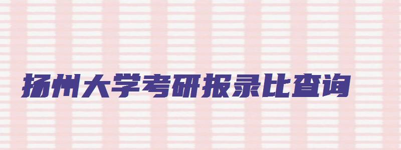 扬州大学考研报录比查询