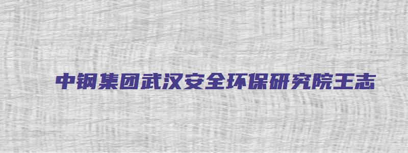 中钢集团武汉安全环保研究院王志