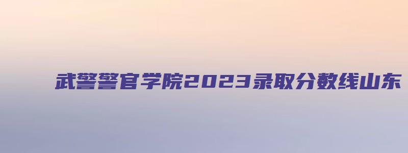 武警警官学院2023录取分数线山东