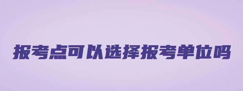 报考点可以选择报考单位吗