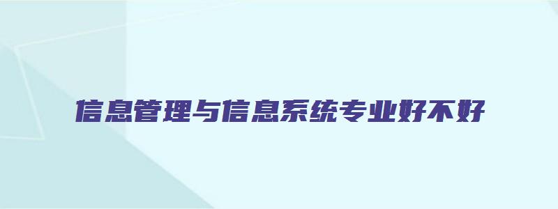 信息管理与信息系统专业好不好