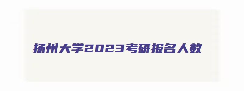 扬州大学2023考研报名人数