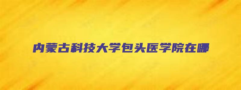 内蒙古科技大学包头医学院在哪