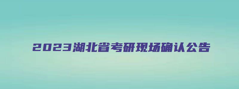 2023湖北省考研现场确认公告