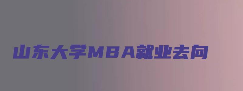 山东大学MBA就业去向