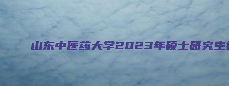 山东中医药大学2023年硕士研究生招生简章