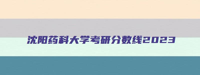 沈阳药科大学考研分数线2023