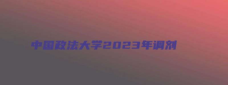 中国政法大学2023年调剂