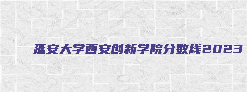 延安大学西安创新学院分数线2023