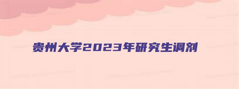 贵州大学2023年研究生调剂