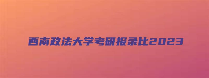 西南政法大学考研报录比2023