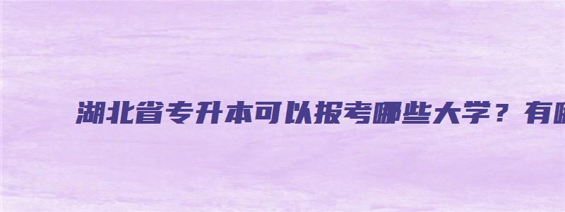 湖北省专升本可以报考哪些大学？有哪些有计算机专业？