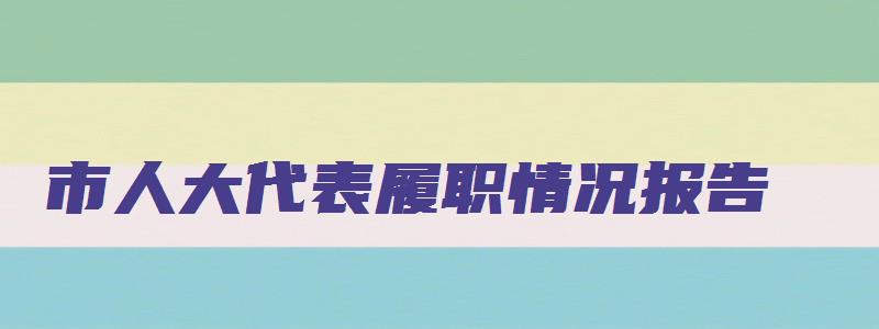 市人大代表履职情况报告