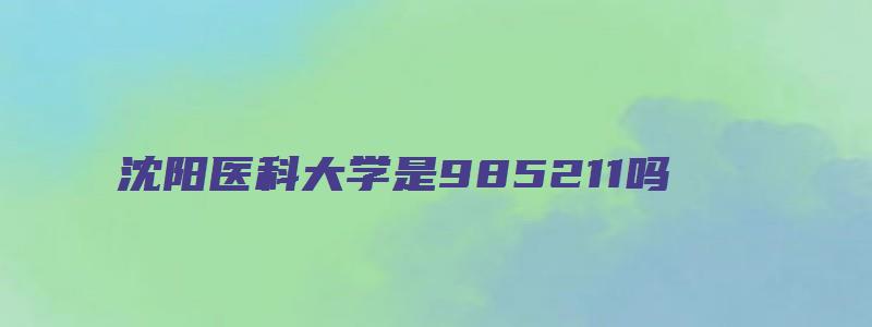 沈阳医科大学是985211吗