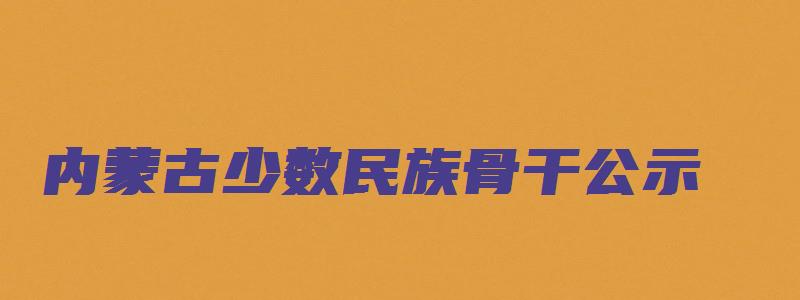 内蒙古少数民族骨干公示