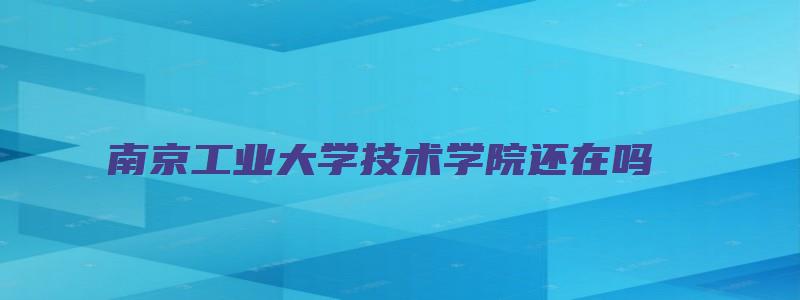 南京工业大学技术学院还在吗