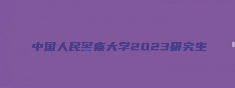 中国人民警察大学2023研究生