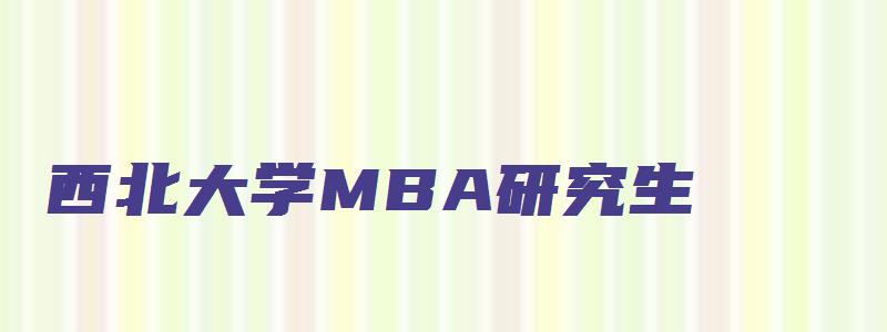 西北大学MBA研究生