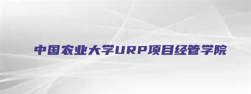 中国农业大学URP项目经管学院