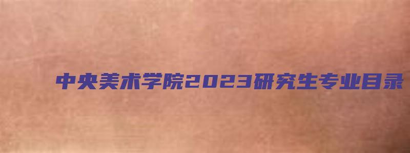 中央美术学院2023研究生专业目录