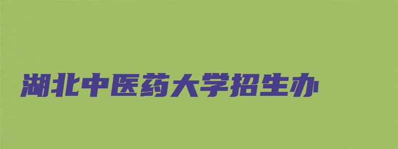 湖北中医药大学招生办