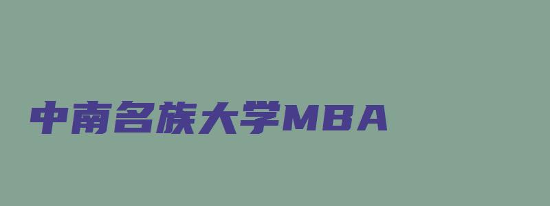 中南名族大学MBA