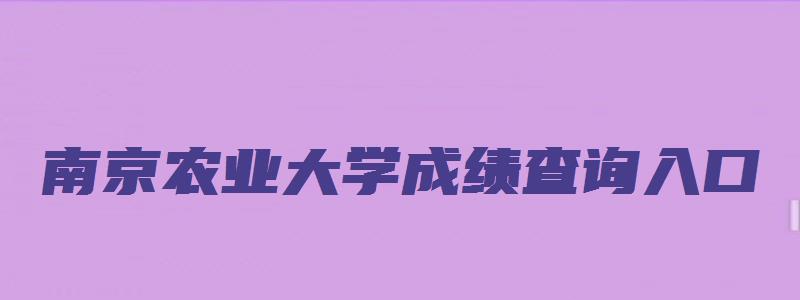 南京农业大学成绩查询入口