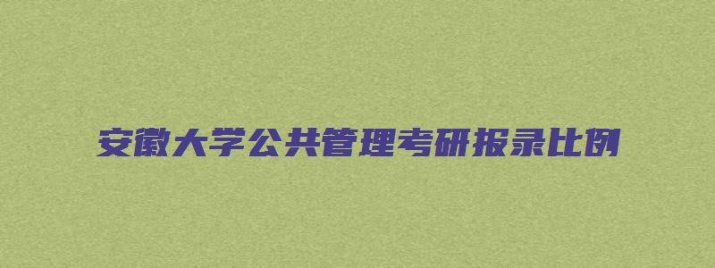 安徽大学公共管理考研报录比例