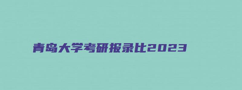 青岛大学考研报录比2023