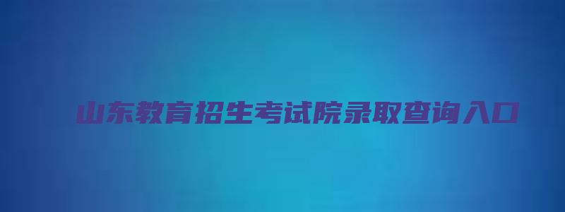 山东教育招生考试院录取查询入口