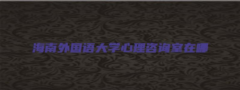 海南外国语大学心理咨询室在哪