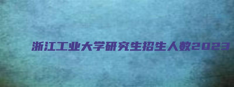 浙江工业大学研究生招生人数2023