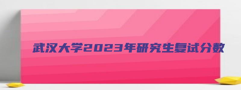 武汉大学2023年研究生复试分数