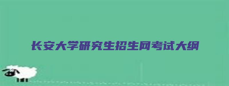 长安大学研究生招生网考试大纲