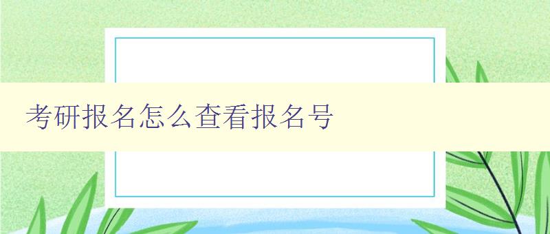 考研报名怎么查看报名号